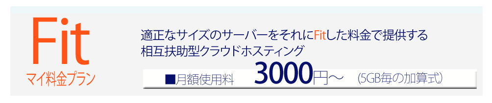 FIT　マイ料金プランについて